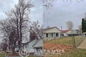 tree trimming Macomb County, bush trimming Macomb MI, hedge trimming Macomb MI, tree pruning Macomb County, shrub trimming Macomb MI, tree care Macomb MI, local tree service Macomb, residential tree trimming Macomb, commercial bush trimming Macomb, expert tree trimming Macomb MI, tree trimming St. Clair County, bush trimming St. Clair MI, tree pruning St. Clair MI, hedge trimming St. Clair MI, St. Clair shrub maintenance, local arborist St. Clair, expert tree care St. Clair, St. Clair tree specialists, tree maintenance St. Clair, trimming services St. Clair MI, tree removal Macomb County, bush removal Macomb MI, tree service Macomb MI, brush clearing Macomb, stump removal Macomb County, tree cutting Macomb MI, tree experts Macomb County, tree removal St. Clair County, bush removal St. Clair MI, tree cleanup St. Clair MI, St. Clair arborist, stump grinding St. Clair, tree cutting St. Clair County, hedge removal St. Clair, tree care St. Clair MI, local tree service St. Clair, tree maintenance St. Clair, Sanilac County tree removal, bush removal Sanilac MI, tree trimming Sanilac, emergency tree removal Macomb MI, storm damage cleanup Macomb County, fallen tree removal Macomb MI, emergency tree service St. Clair MI, storm damage tree removal St. Clair County, urgent tree removal Sanilac MI, storm cleanup Lapeer MI, emergency arborist Oakland County, 24/7 tree service Macomb MI, storm damage tree experts St. Clair MI, emergency tree removal Sanilac County, storm damage tree service Lapeer County, emergency tree trimming Oakland MI, storm debris removal Macomb MI, emergency stump removal St. Clair MI, storm damage arborist Sanilac MI, 24-hour tree service Lapeer MI, emergency tree care Oakland County, storm damage tree specialists Macomb MI, emergency tree removal Oakland MI, stump grinding Macomb County, stump removal Macomb MI, tree stump grinding Macomb MI, stump grinding St. Clair County, stump removal St. Clair MI, tree stump removal St. Clair MI, stump grinding Sanilac County, stump removal Sanilac MI, tree stump grinding Sanilac MI, stump grinding Lapeer County, stump removal Lapeer MI, tree stump removal Lapeer MI, stump grinding Oakland County, stump removal Oakland MI, tree stump grinding Oakland MI, stump removal service Macomb MI, stump grinding experts St. Clair MI, stump removal professionals Sanilac MI, stump grinding services Lapeer MI, stump removal specialists Oakland MI, insurance claim tree removal Macomb MI, storm damage insurance claims St. Clair MI, tree removal insurance assistance Sanilac MI, commercial tree services Lapeer MI, insurance claim arborist Oakland County, tree damage insurance help Macomb MI, commercial bush removal St. Clair MI, insurance-covered tree services Sanilac MI, commercial tree trimming Lapeer MI, insurance claim tree experts Oakland MI, tree removal for insurance claims Macomb County, storm damage insurance support St. Clair County, commercial arborist services Sanilac County, insurance claim assistance for tree damage Lapeer County, commercial tree care Oakland County, insurance-covered stump removal Macomb MI, commercial tree maintenance St. Clair MI, insurance claim processing for tree services Sanilac MI, commercial tree removal Lapeer MI, insurance assistance for storm-damaged trees Oakland MI