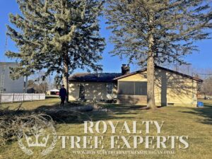 tree trimming Macomb County, bush trimming Macomb MI, hedge trimming Macomb MI, tree pruning Macomb County, shrub trimming Macomb MI, tree care Macomb MI, local tree service Macomb, residential tree trimming Macomb, commercial bush trimming Macomb, expert tree trimming Macomb MI, tree trimming St. Clair County, bush trimming St. Clair MI, tree pruning St. Clair MI, hedge trimming St. Clair MI, St. Clair shrub maintenance, local arborist St. Clair, expert tree care St. Clair, St. Clair tree specialists, tree maintenance St. Clair, trimming services St. Clair MI, tree removal Macomb County, bush removal Macomb MI, tree service Macomb MI, brush clearing Macomb, stump removal Macomb County, tree cutting Macomb MI, tree experts Macomb County, tree removal St. Clair County, bush removal St. Clair MI, tree cleanup St. Clair MI, St. Clair arborist, stump grinding St. Clair, tree cutting St. Clair County, hedge removal St. Clair, tree care St. Clair MI, local tree service St. Clair, tree maintenance St. Clair, Sanilac County tree removal, bush removal Sanilac MI, tree trimming Sanilac, emergency tree removal Macomb MI, storm damage cleanup Macomb County, fallen tree removal Macomb MI, emergency tree service St. Clair MI, storm damage tree removal St. Clair County, urgent tree removal Sanilac MI, storm cleanup Lapeer MI, emergency arborist Oakland County, 24/7 tree service Macomb MI, storm damage tree experts St. Clair MI, emergency tree removal Sanilac County, storm damage tree service Lapeer County, emergency tree trimming Oakland MI, storm debris removal Macomb MI, emergency stump removal St. Clair MI, storm damage arborist Sanilac MI, 24-hour tree service Lapeer MI, emergency tree care Oakland County, storm damage tree specialists Macomb MI, emergency tree removal Oakland MI, stump grinding Macomb County, stump removal Macomb MI, tree stump grinding Macomb MI, stump grinding St. Clair County, stump removal St. Clair MI, tree stump removal St. Clair MI, stump grinding Sanilac County, stump removal Sanilac MI, tree stump grinding Sanilac MI, stump grinding Lapeer County, stump removal Lapeer MI, tree stump removal Lapeer MI, stump grinding Oakland County, stump removal Oakland MI, tree stump grinding Oakland MI, stump removal service Macomb MI, stump grinding experts St. Clair MI, stump removal professionals Sanilac MI, stump grinding services Lapeer MI, stump removal specialists Oakland MI, insurance claim tree removal Macomb MI, storm damage insurance claims St. Clair MI, tree removal insurance assistance Sanilac MI, commercial tree services Lapeer MI, insurance claim arborist Oakland County, tree damage insurance help Macomb MI, commercial bush removal St. Clair MI, insurance-covered tree services Sanilac MI, commercial tree trimming Lapeer MI, insurance claim tree experts Oakland MI, tree removal for insurance claims Macomb County, storm damage insurance support St. Clair County, commercial arborist services Sanilac County, insurance claim assistance for tree damage Lapeer County, commercial tree care Oakland County, insurance-covered stump removal Macomb MI, commercial tree maintenance St. Clair MI, insurance claim processing for tree services Sanilac MI, commercial tree removal Lapeer MI, insurance assistance for storm-damaged trees Oakland MI