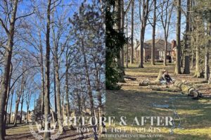 tree trimming Macomb County, bush trimming Macomb MI, hedge trimming Macomb MI, tree pruning Macomb County, shrub trimming Macomb MI, tree care Macomb MI, local tree service Macomb, residential tree trimming Macomb, commercial bush trimming Macomb, expert tree trimming Macomb MI, tree trimming St. Clair County, bush trimming St. Clair MI, tree pruning St. Clair MI, hedge trimming St. Clair MI, St. Clair shrub maintenance, local arborist St. Clair, expert tree care St. Clair, St. Clair tree specialists, tree maintenance St. Clair, trimming services St. Clair MI, tree removal Macomb County, bush removal Macomb MI, tree service Macomb MI, brush clearing Macomb, stump removal Macomb County, tree cutting Macomb MI, tree experts Macomb County, tree removal St. Clair County, bush removal St. Clair MI, tree cleanup St. Clair MI, St. Clair arborist, stump grinding St. Clair, tree cutting St. Clair County, hedge removal St. Clair, tree care St. Clair MI, local tree service St. Clair, tree maintenance St. Clair, Sanilac County tree removal, bush removal Sanilac MI, tree trimming Sanilac, emergency tree removal Macomb MI, storm damage cleanup Macomb County, fallen tree removal Macomb MI, emergency tree service St. Clair MI, storm damage tree removal St. Clair County, urgent tree removal Sanilac MI, storm cleanup Lapeer MI, emergency arborist Oakland County, 24/7 tree service Macomb MI, storm damage tree experts St. Clair MI, emergency tree removal Sanilac County, storm damage tree service Lapeer County, emergency tree trimming Oakland MI, storm debris removal Macomb MI, emergency stump removal St. Clair MI, storm damage arborist Sanilac MI, 24-hour tree service Lapeer MI, emergency tree care Oakland County, storm damage tree specialists Macomb MI, emergency tree removal Oakland MI, stump grinding Macomb County, stump removal Macomb MI, tree stump grinding Macomb MI, stump grinding St. Clair County, stump removal St. Clair MI, tree stump removal St. Clair MI, stump grinding Sanilac County, stump removal Sanilac MI, tree stump grinding Sanilac MI, stump grinding Lapeer County, stump removal Lapeer MI, tree stump removal Lapeer MI, stump grinding Oakland County, stump removal Oakland MI, tree stump grinding Oakland MI, stump removal service Macomb MI, stump grinding experts St. Clair MI, stump removal professionals Sanilac MI, stump grinding services Lapeer MI, stump removal specialists Oakland MI, insurance claim tree removal Macomb MI, storm damage insurance claims St. Clair MI, tree removal insurance assistance Sanilac MI, commercial tree services Lapeer MI, insurance claim arborist Oakland County, tree damage insurance help Macomb MI, commercial bush removal St. Clair MI, insurance-covered tree services Sanilac MI, commercial tree trimming Lapeer MI, insurance claim tree experts Oakland MI, tree removal for insurance claims Macomb County, storm damage insurance support St. Clair County, commercial arborist services Sanilac County, insurance claim assistance for tree damage Lapeer County, commercial tree care Oakland County, insurance-covered stump removal Macomb MI, commercial tree maintenance St. Clair MI, insurance claim processing for tree services Sanilac MI, commercial tree removal Lapeer MI, insurance assistance for storm-damaged trees Oakland MI