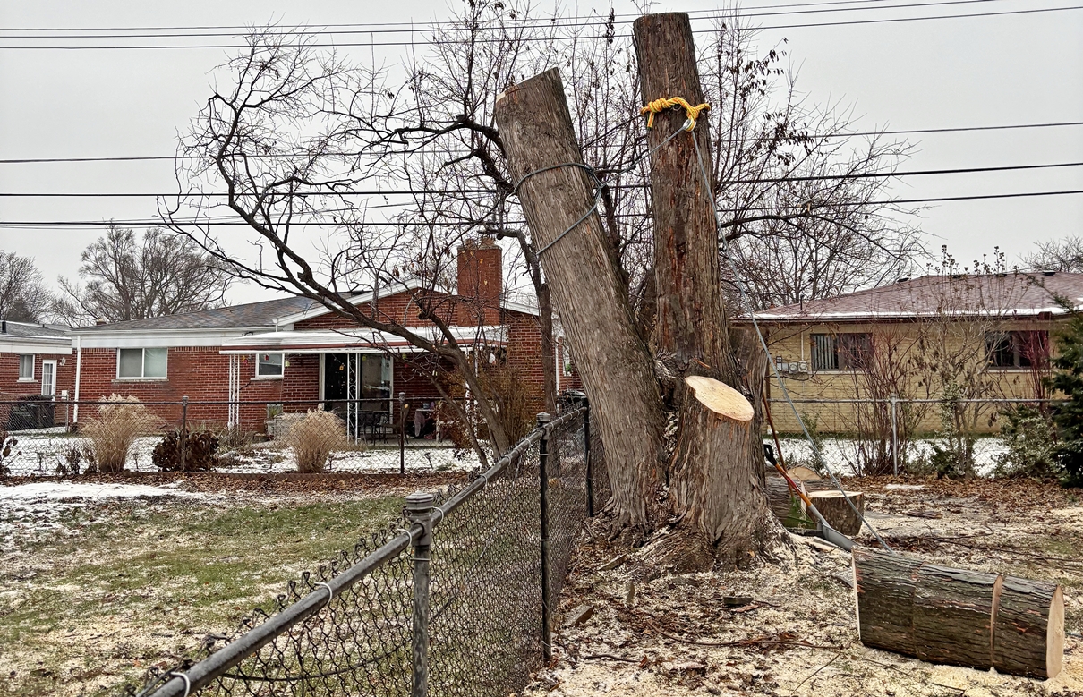 tree trimming Macomb County, bush trimming Macomb MI, hedge trimming Macomb MI, tree pruning Macomb County, shrub trimming Macomb MI, tree care Macomb MI, local tree service Macomb, residential tree trimming Macomb, commercial bush trimming Macomb, expert tree trimming Macomb MI, tree trimming St. Clair County, bush trimming St. Clair MI, tree pruning St. Clair MI, hedge trimming St. Clair MI, St. Clair shrub maintenance, local arborist St. Clair, expert tree care St. Clair, St. Clair tree specialists, tree maintenance St. Clair, trimming services St. Clair MI, tree removal Macomb County, bush removal Macomb MI, tree service Macomb MI, brush clearing Macomb, stump removal Macomb County, tree cutting Macomb MI, tree experts Macomb County, tree removal St. Clair County, bush removal St. Clair MI, tree cleanup St. Clair MI, St. Clair arborist, stump grinding St. Clair, tree cutting St. Clair County, hedge removal St. Clair, tree care St. Clair MI, local tree service St. Clair, tree maintenance St. Clair, Sanilac County tree removal, bush removal Sanilac MI, tree trimming Sanilac, emergency tree removal Macomb MI, storm damage cleanup Macomb County, fallen tree removal Macomb MI, emergency tree service St. Clair MI, storm damage tree removal St. Clair County, urgent tree removal Sanilac MI, storm cleanup Lapeer MI, emergency arborist Oakland County, 24/7 tree service Macomb MI, storm damage tree experts St. Clair MI, emergency tree removal Sanilac County, storm damage tree service Lapeer County, emergency tree trimming Oakland MI, storm debris removal Macomb MI, emergency stump removal St. Clair MI, storm damage arborist Sanilac MI, 24-hour tree service Lapeer MI, emergency tree care Oakland County, storm damage tree specialists Macomb MI, emergency tree removal Oakland MI, stump grinding Macomb County, stump removal Macomb MI, tree stump grinding Macomb MI, stump grinding St. Clair County, stump removal St. Clair MI, tree stump removal St. Clair MI, stump grinding Sanilac County, stump removal Sanilac MI, tree stump grinding Sanilac MI, stump grinding Lapeer County, stump removal Lapeer MI, tree stump removal Lapeer MI, stump grinding Oakland County, stump removal Oakland MI, tree stump grinding Oakland MI, stump removal service Macomb MI, stump grinding experts St. Clair MI, stump removal professionals Sanilac MI, stump grinding services Lapeer MI, stump removal specialists Oakland MI, insurance claim tree removal Macomb MI, storm damage insurance claims St. Clair MI, tree removal insurance assistance Sanilac MI, commercial tree services Lapeer MI, insurance claim arborist Oakland County, tree damage insurance help Macomb MI, commercial bush removal St. Clair MI, insurance-covered tree services Sanilac MI, commercial tree trimming Lapeer MI, insurance claim tree experts Oakland MI, tree removal for insurance claims Macomb County, storm damage insurance support St. Clair County, commercial arborist services Sanilac County, insurance claim assistance for tree damage Lapeer County, commercial tree care Oakland County, insurance-covered stump removal Macomb MI, commercial tree maintenance St. Clair MI, insurance claim processing for tree services Sanilac MI, commercial tree removal Lapeer MI, insurance assistance for storm-damaged trees Oakland MI